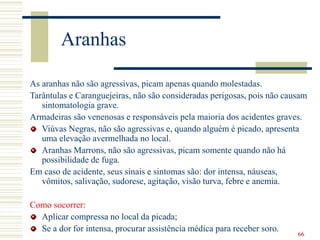 66
Aranhas
As aranhas não são agressivas, picam apenas quando molestadas.
Tarântulas e Caranguejeiras, não são consideradas perigosas, pois não causam
sintomatologia grave.
Armadeiras são venenosas e responsáveis pela maioria dos acidentes graves.
Viúvas Negras, não são agressivas e, quando alguém é picado, apresenta
uma elevação avermelhada no local.
Aranhas Marrons, não são agressivas, picam somente quando não há
possibilidade de fuga.
Em caso de acidente, seus sinais e sintomas são: dor intensa, náuseas,
vômitos, salivação, sudorese, agitação, visão turva, febre e anemia.
Como socorrer:
Aplicar compressa no local da picada;
Se a dor for intensa, procurar assistência médica para receber soro.
 