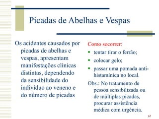 67
Picadas de Abelhas e Vespas
Os acidentes causados por
picadas de abelhas e
vespas, apresentam
manifestações clínicas
distintas, dependendo
da sensibilidade do
indivíduo ao veneno e
do número de picadas
Como socorrer:
 tentar tirar o ferrão;
 colocar gelo;
 passar uma pomada anti-
histamínica no local.
Obs.: No tratamento de
pessoa sensibilizada ou
de múltiplas picadas,
procurar assistência
médica com urgência.
 