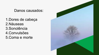 Danos causados:
1.Dores de cabeça
2.Náuseas
3.Sonolência
4.Convulsões
5.Coma e morte
 