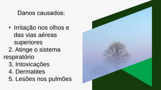Danos causados:
• Irritação nos olhos e
das vias aéreas
superiores
2. Atinge o sistema
respiratório
3. Intoxicações
4. Dermatites
5. Lesões nos pulmões
 