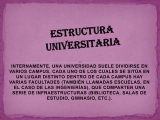 INTERNAMENTE, UNA UNIVERSIDAD SUELE DIVIDIRSE EN
VARIOS CAMPUS, CADA UNO DE LOS CUALES SE SITÚA EN
   UN LUGAR DISTINTO DENTRO DE CADA CAMPUS HAY
VARIAS FACULTADES (TAMBIÉN LLAMADAS ESCUELAS, EN
  EL CASO DE LAS INGENIERÍAS), QUE COMPARTEN UNA
  SERIE DE INFRAESTRUCTURAS (BIBLIOTECA, SALAS DE
               ESTUDIO, GIMNASIO, ETC.).
 