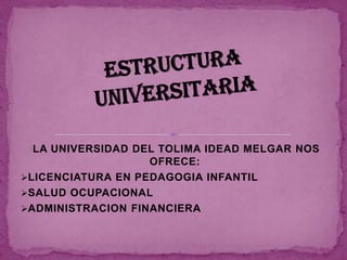 •LA UNIVERSIDAD DEL TOLIMA IDEAD MELGAR NOS
                   OFRECE:
LICENCIATURA EN PEDAGOGIA INFANTIL
SALUD OCUPACIONAL
ADMINISTRACION FINANCIERA
 