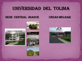 SEDE CENTRAL IBAGUE   CREAD MELGAR
 