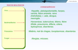 Vírus
Bactérias/Bacilos
Protozoários
Fungos
RISCOS BIOLÓGICOS
CONSEQÜÊNCIAS
Hepatite, ubéolapoliomielite, herpes,
varíola, febre amarela, raiva
(hidrofobia), r, aids, dengue,
meningite.
Hanseniese, tuberculose, tétano, febre
tifóide, pneumonia, difteria, cólera,
leptospirose, disenterias.
Malária, mal de chagas, toxoplasmose, disenterias.
Alergias, micoses.
 