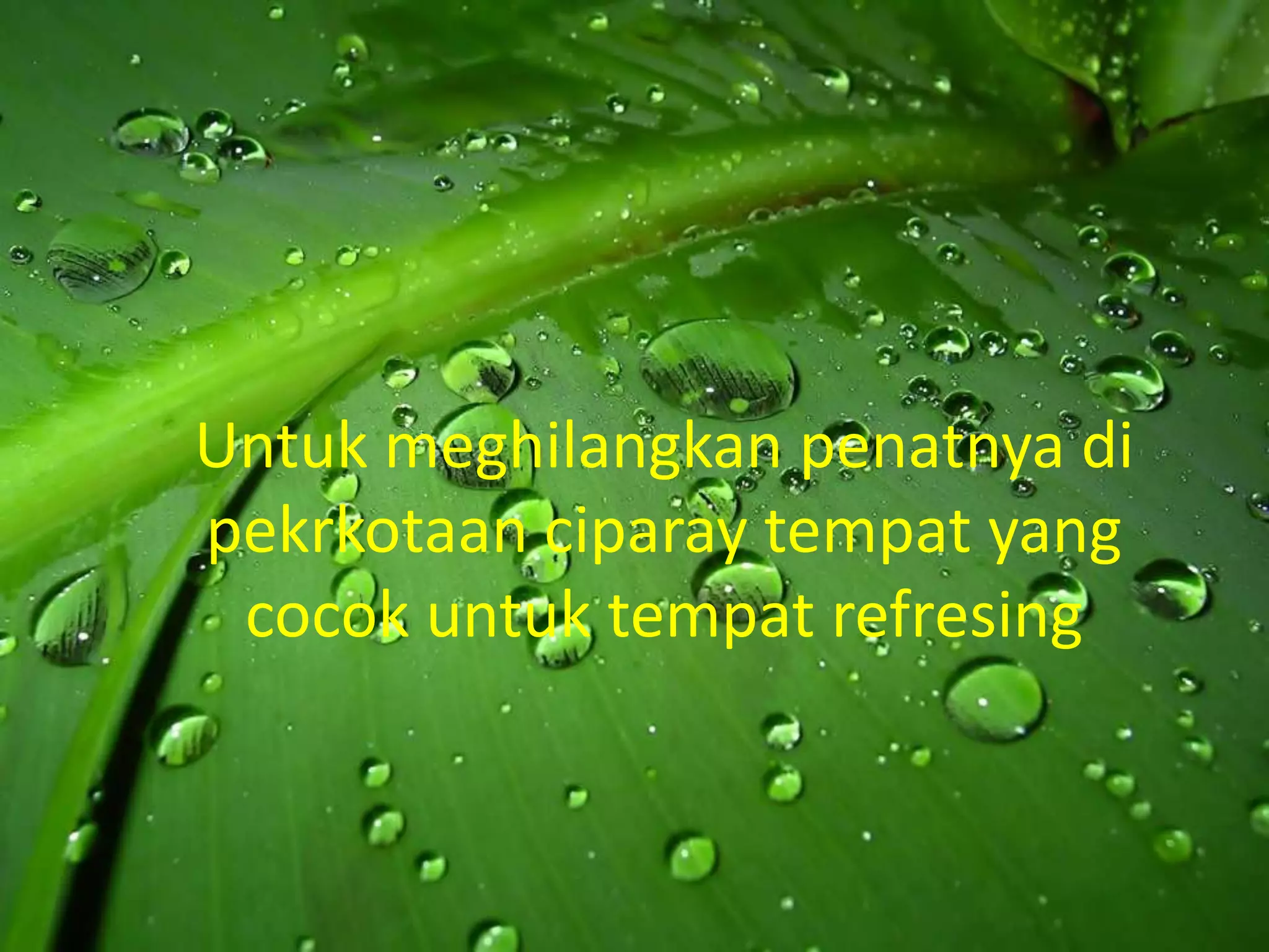 Untuk meghilangkan penatnya di
pekrkotaan ciparay tempat yang
 cocok untuk tempat refresing
 