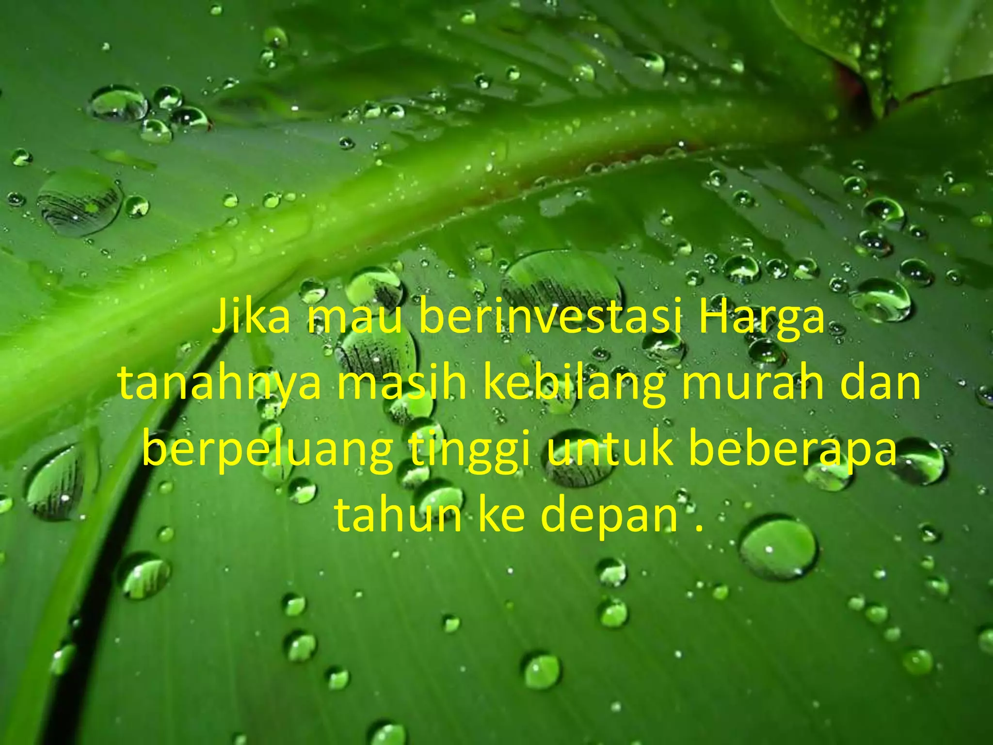 Jika mau berinvestasi Harga
tanahnya masih kebilang murah dan
 berpeluang tinggi untuk beberapa
          tahun ke depan .
 