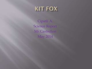 Cipatli A.
Science Report
Mr.Castrellon
May 2014
 