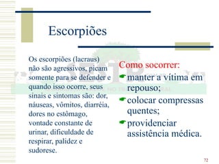 72
Escorpiões
Os escorpiões (lacraus)
não são agressivos, picam
somente para se defender e
quando isso ocorre, seus
sinais e sintomas são: dor,
náuseas, vômitos, diarréia,
dores no estômago,
vontade constante de
urinar, dificuldade de
respirar, palidez e
sudorese.
Como socorrer:
manter a vítima em
repouso;
colocar compressas
quentes;
providenciar
assistência médica.
 