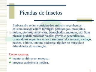 75
Picadas de Insetos
Embora não sejam considerados animais peçonhentos,
existem insetos como: formigas, pernilongos, mosquitos,
pulgas, piolhos, percevejos, borrachudos, mutucas, etc. Suas
picadas podem provocar reações graves e generalizadas,
causando os seguintes sinais e sintomas: dor intensa, inchaço,
náusea, vômito, tontura, sudorese, rigidez no músculo e
dificuldades de respiração.
Como socorrer:
 manter a vítima em repouso;
 procurar assistência médica.
 
