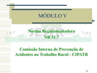 80
MÓDULO V
Norma Regulamentadora
NR 31.7
Comissão Interna de Prevenção de
Acidentes no Trabalho Rural - CIPATR
 