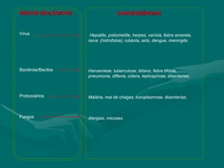 Vírus
Bactérias/Bacilos
Protozoários
Fungos
RISCOS BIOLÓGICOS CONSEQÜÊNCIAS
Hepatite, poliomielite, herpes, varíola, febre amarela,
raiva (hidrofobia), rubéola, aids, dengue, meningite.
Hanseniese, tuberculose, tétano, febre tifóide,
pneumonia, difteria, cólera, leptospirose, disenterias.
Malária, mal de chagas, toxoplasmose, disenterias.
Alergias, micoses.
 