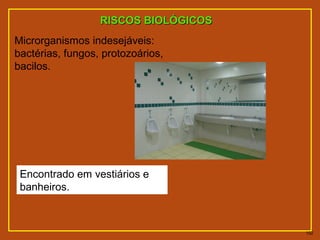 RISCOSRISCOS BIOLÓGICOSBIOLÓGICOS
Microrganismos indesejáveis:
bactérias, fungos, protozoários,
bacilos.
Encontrado em vestiários e
banheiros.
102
 
