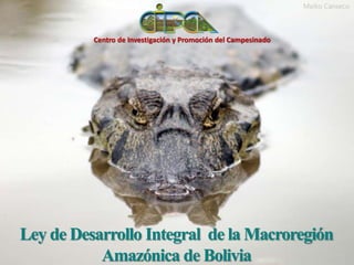 Ley de Desarrollo Integral de la Macroregión
Amazónica de Bolivia
Centro de Investigación y Promoción del Campesinado
Maiko Canseco
 