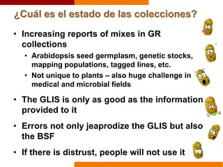 ¿Cuál es el estado de las colecciones?
• Increasing reports of mixes in GR
collections
• Arabidopsis seed germplasm, genetic stocks,
mapping populations, tagged lines, etc.
• Not unique to plants – also huge challenge in
medical and microbial fields
• The GLIS is only as good as the information
provided to it
• Errors not only jeaprodize the GLIS but also
the BSF
• If there is distrust, people will not use it
 