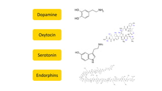 Dopamine
Oxytocin
Serotonin
Endorphins
 