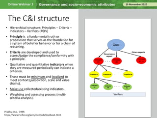 Criteria and indicators for tropical peatland restoration: Governance aspect