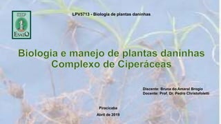 LPV5713 - Biologia de plantas daninhas
Discente: Bruna do Amaral Brogio
Docente: Prof. Dr. Pedro Christofoletti
Piracicaba
Abril de 2019
 