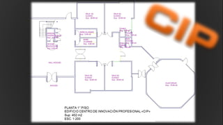 Cip final 2010 fin1