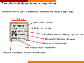 Barcode label elements and composition
Accession number
Collecting number
Species acronym + Country origin (ISO 3166)
Geographical location of sowing
Date of samples harvested
Field location: Row + Plot number
Barcode = Accession number + Field location
Example use case: Label of potato tuber harvested and sticked in paper bags.
3.5 cm
 