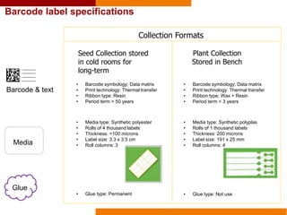 Barcode label specifications
Barcode & text
Media
Glue
Seed Collection stored
in cold rooms for
long-term
Collection Formats
Plant Collection
Stored in Bench
• Barcode symbology: Data matrix
• Print technology: Thermal transfer
• Ribbon type: Resin
• Period term > 50 years
• Barcode symbology: Data matrix
• Print technology: Thermal transfer
• Ribbon type: Wax + Resin
• Period term < 3 years
• Media type: Synthetic polyester
• Rolls of 4 thousand labels
• Thickness: <100 microns
• Label size: 3.3 x 3.5 cm
• Roll columns: 3
• Media type: Synthetic polyplas
• Rolls of 1 thousand labels
• Thickness: 200 microns
• Label size: 191 x 25 mm
• Roll columns: 4
• Glue type: Permanent • Glue type: Not use
 