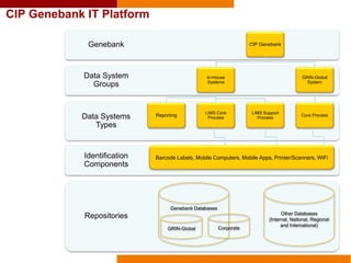 CIP Genebank IT Platform | PPTX