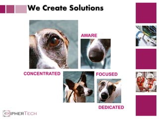 2
CONCENTRATED
AWARE
DEDICATED
FOCUSED
We Create Solutions
 