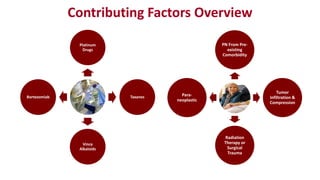 Contributing Factors Overview
Platinum
Drugs
Taxanes
Vinca
Alkaloids
Bortezomiab
PN From Pre-
existing
Comorbidity
Tumor
Infiltration &
Compression
Radiation
Therapy or
Surgical
Trauma
Para-
neoplastic
 