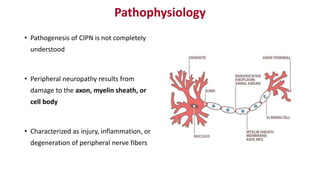 Pathophysiology
• Pathogenesis of CIPN is not completely
understood
• Peripheral neuropathy results from
damage to the axon, myelin sheath, or
cell body
• Characterized as injury, inflammation, or
degeneration of peripheral nerve fibers
 