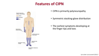 Features of CIPN
• CIPN is primarily polyneuropathy
• Symmetric stocking-glove distribution
• The earliest symptoms developing at
the finger tips and toes
Up-to-date: Last accessed 5/20117
 