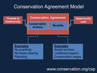 Conservation Agreement 
Benefits 
Threats to biodiversity 
Opportunity 
cost 
Conservation Agreement Model 
Conservation Actions 
Examples No poaching No forest clearing Patrolling 
Examples Social services Livelihood support Conservation wages 
www.conservation.org/csp  