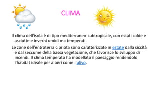 CLIMA
Il clima dell'isola è di tipo mediterraneo-subtropicale, con estati calde e
asciutte e inverni umidi ma temperati.
Le zone dell'entroterra cipriota sono caratterizzate in estate dalla siccità
e dal seccume della bassa vegetazione, che favorisce lo sviluppo di
incendi. Il clima temperato ha modellato il paesaggio rendendolo
l'habitat ideale per alberi come l'ulivo.
 
