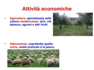 Attività economiche

Agricoltura: specializzata nelle
colture mediterranee: olivi, viti,
tabacco, agrumi e altri frutti.

Allevamento: soprattutto quello
ovino, molto praticata è la pesca.
 
