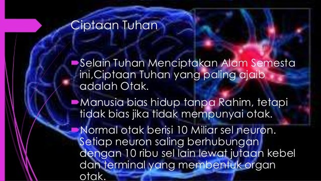 80+ Gambar Alam Semesta Otak 80+ Gambar Alam Semesta Otak