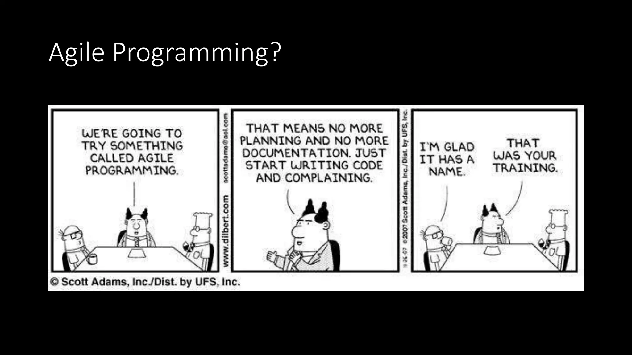Agile Programming?
 