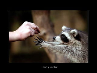 Dar  y  recibir 