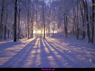 Puesta de sol 