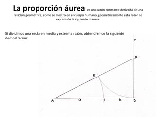 La proporción áurea es una razón constante derivada de una
relación geométrica, como se mostró en el cuerpo humano, geométricamente esta razón se
expresa de la siguiente manera:
Si dividimos una recta en media y extrema razón, obtendremos la siguiente
demostración: