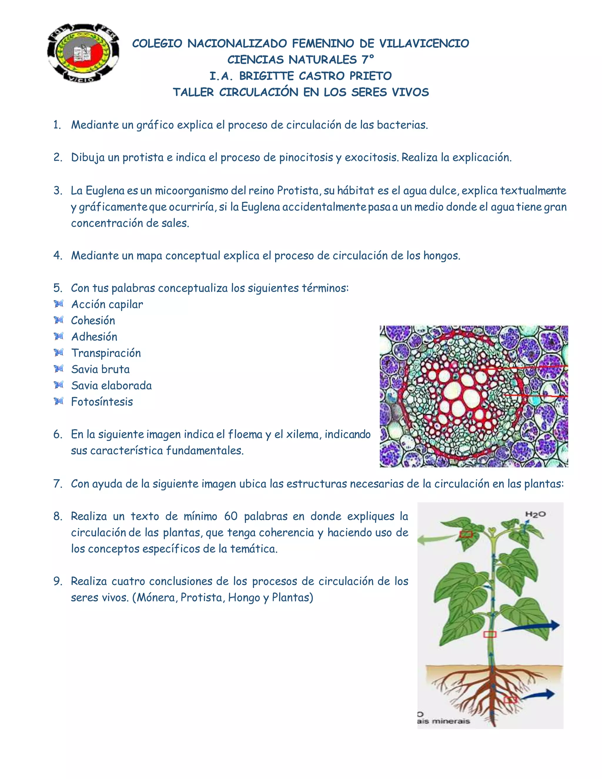 Actividad: Circulación en Seres Vivos | DOCX