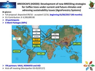 BREEDCAFS (H2020): Development of new BREEDing strategies
for Coffee trees under current and future climates and
adressing sustainability issues (AgroForestry Systems)
At glance:
 full proposal: deposited 09/16 - accepted 12/16, beginning 01/06/2017 (48 months)
 EU Contribution: € 4,200,000.00
 19 participants
 6 Work Packages (WPs)
 VN partners: VAAS, NOMAFSI and AGI
 Kick-off meeting (Montpellier 03-05/07/17)
CIRAD, IRD,
UM, EAF
ISA, NovaID
NUI Galway
UPCH
ILLY
Nicafrance
SNV
MPG
RWTH Aachen
WCR, ASU
Abord
IRAD
CIRAD
(Fr. Guyana)
VAAS,
NOMAFSI, AGI
 