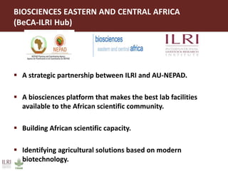 ILRI overview 2015