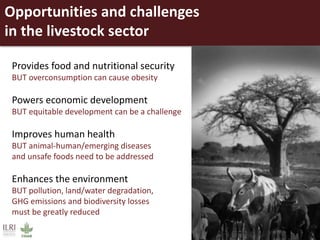 ILRI overview 2015