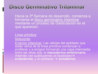 Hacia la 3ª Semana de desarrollo, comienza a
formarse el disco germinativo trilaminar
mediante un proceso de Gastrulación en el
que aparecen:
Línea primitiva
Notocorda
Embrión trilaminar: Las células del epiblasto que
están cerca de la línea primitiva comienzan a
proliferar y a emigrar formando una capa intermedia
entre las otras dos: el mesodermo embrionario.
Además van sustituyendo al hipoblasto
endodermo; y al epiblasto  ectodermo
 