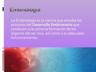 La Embriología es la ciencia que estudia los
procesos del Desarrollo Embrionario que
conducen a la correcta formación de los
órganos del ser vivo, así como a su adecuado
funcionamiento.
 
