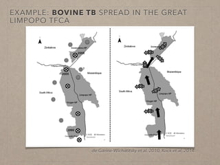 Disease ecology in multi-host systems at wildlife/livestock interfaces: Concepts and applications