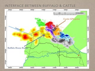 Disease ecology in multi-host systems at wildlife/livestock interfaces: Concepts and applications