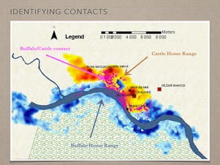 Disease ecology in multi-host systems at wildlife/livestock interfaces: Concepts and applications