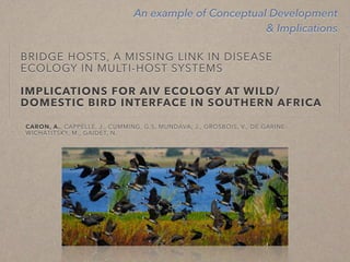 Disease ecology in multi-host systems at wildlife/livestock interfaces: Concepts and applications