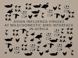 Disease ecology in multi-host systems at wildlife/livestock interfaces: Concepts and applications