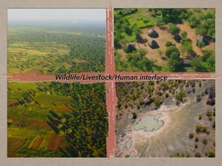 Disease ecology in multi-host systems at wildlife/livestock interfaces: Concepts and applications