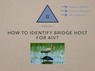 Disease ecology in multi-host systems at wildlife/livestock interfaces: Concepts and applications